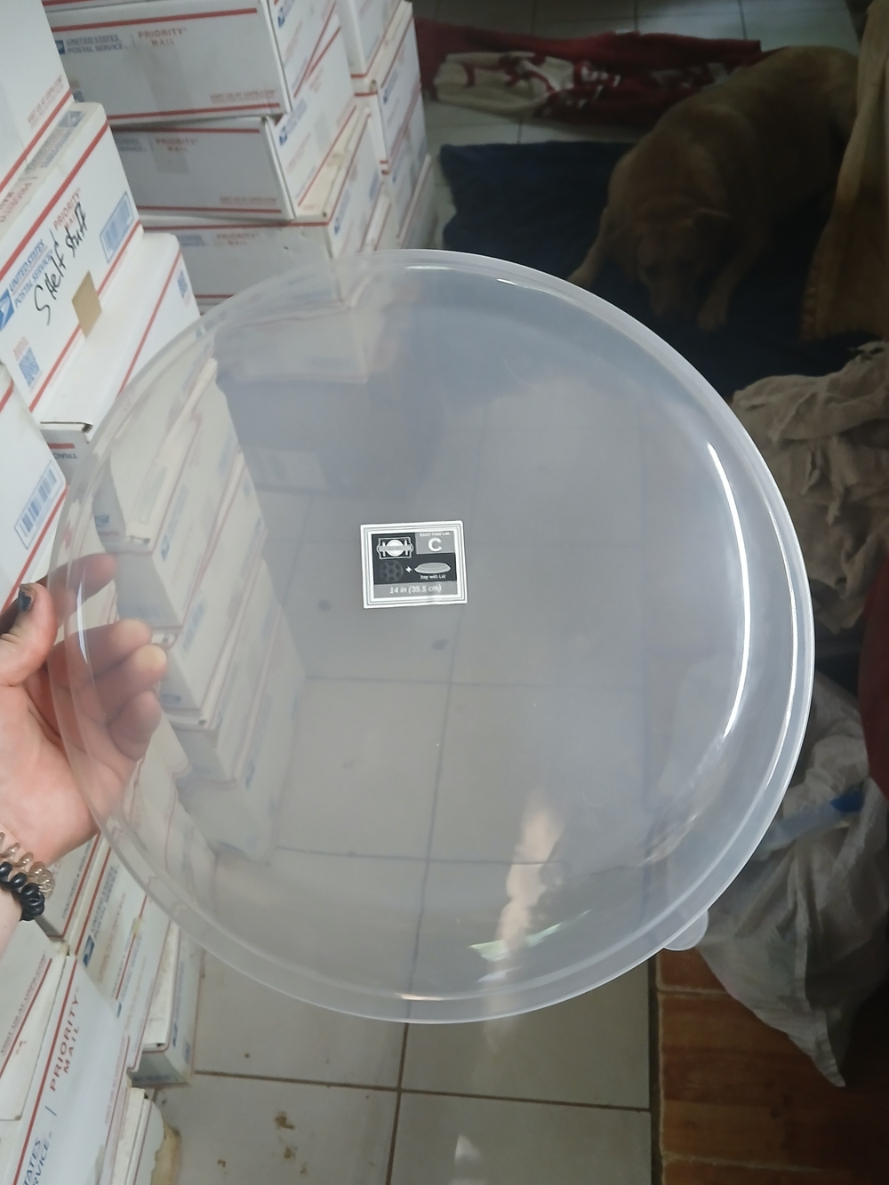 translucent 14-inch (35.5 cm) round plastic plate or tray cover. X50